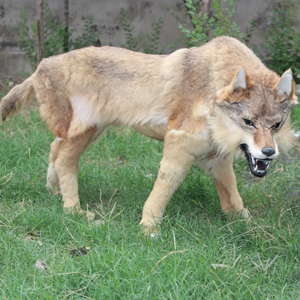 

Teaching Equipment Photography Props Home Decoration Gifts Museum Simulation Wolf