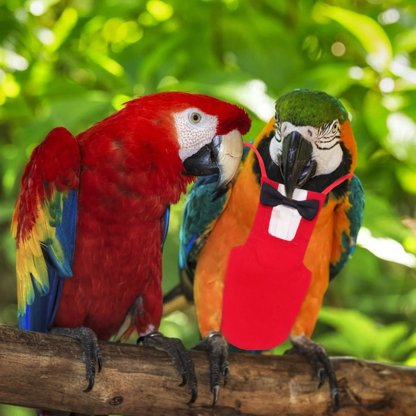 

Bird Diaper Creative Breathable Lightweight Reusable Bird Supply For Birds Cockatiel Parrot Small Birds Pet Apparel