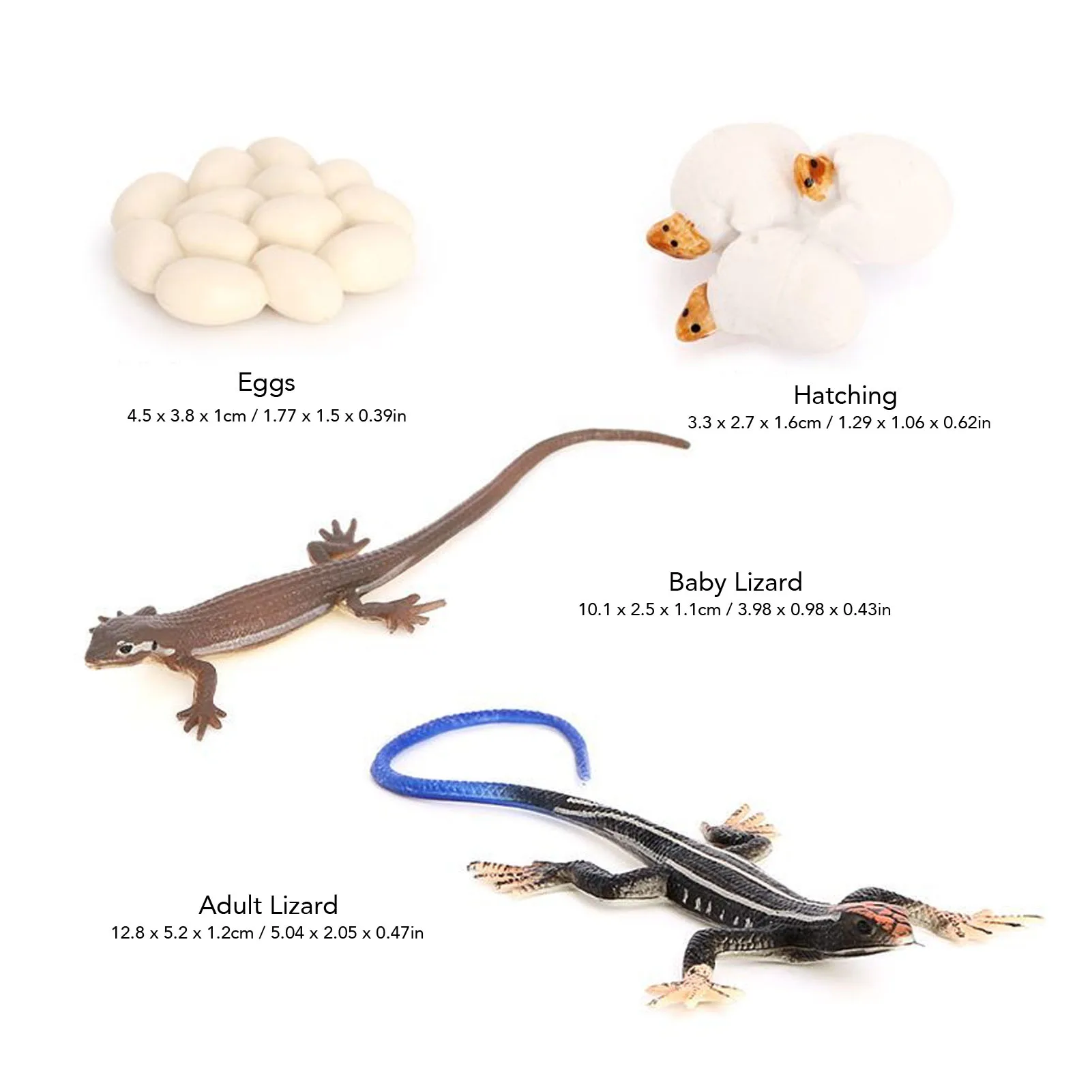 لعبة دورة الحياة من سكينك تماثيل صغيرة على شكل حيوانات نموذج حيوانات PVC محاكاة عالية لعبة دورة حياة الحيوان ملحقات صندوق الرمل