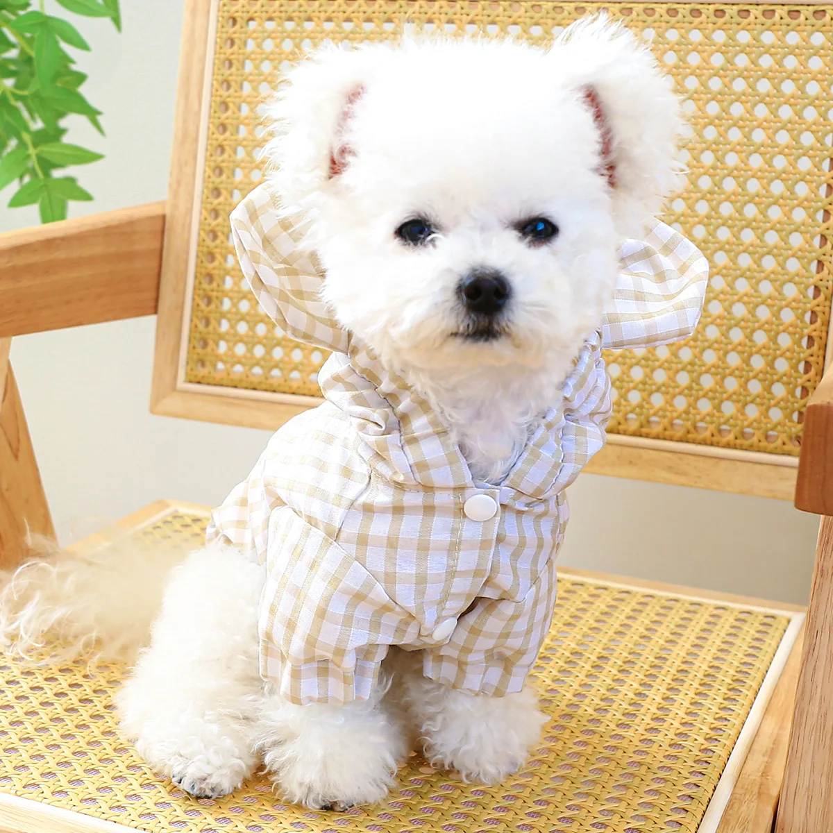 1PC Pet Clothing Cat Spring/Summer Thin Bear Plaid Coat with Traction Buckle Suitable for Small and Medium Dogs