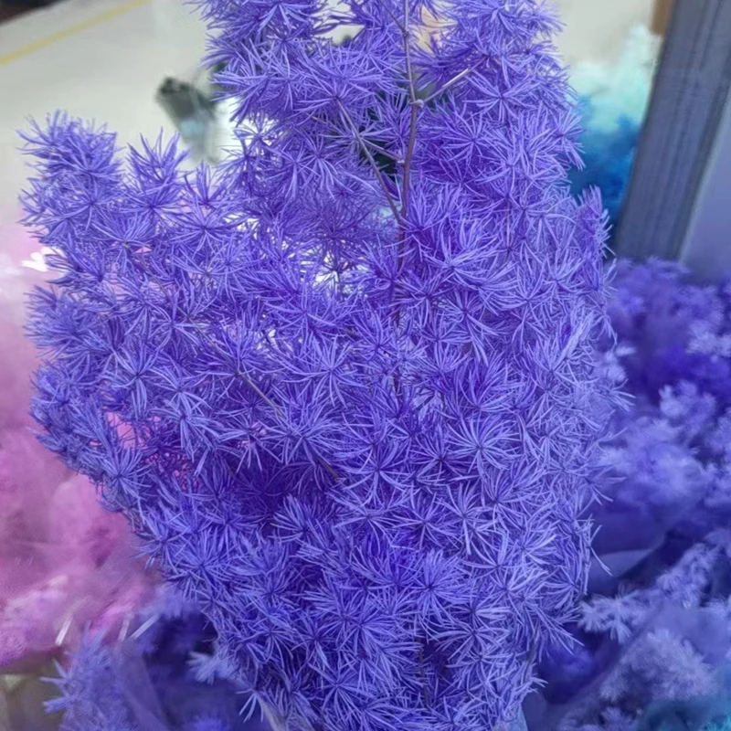 Natural dry Penglai pine flowers, eternal plants, home decoration, wedding bouquet, plant bouquet, preserved flowers, 100g