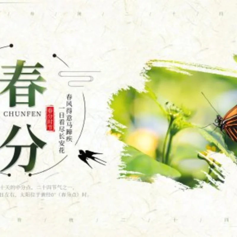 20KG 디지털 서보 DS3218MG 고토크 180도 메탈 기어 4.8-7.4V RC 모델/로봇용