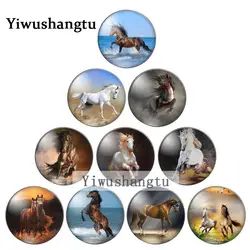 Spectacular Animal Horses galloping  8mm/10mm/ 12mm/Round photo glass cabochon demo flat back Making findings ZB0543