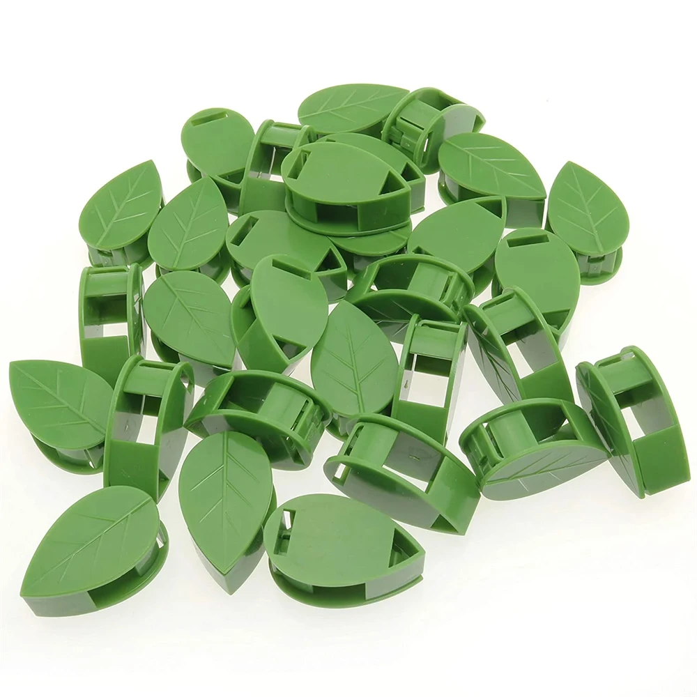 10/50 PCS Plant Climbing Wall Fixture Clips Self-Adhesive Invisible Vines Hook Support Garden Wall Fixer Wire Fixing Snap