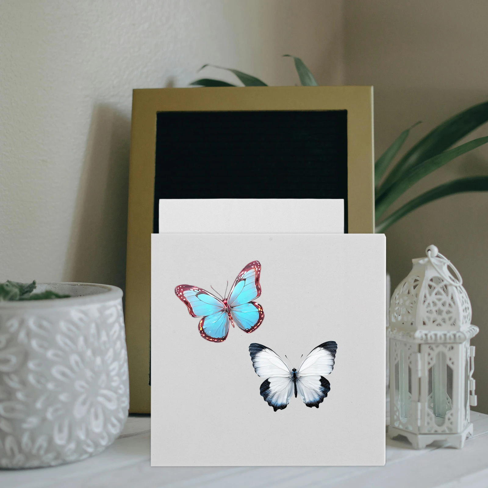 

EVA Foam Butterfly Spreading Board Insect Mounting Pinning Kit Stable Secure Compact Specimen Display Tool Parts