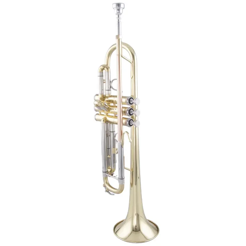 Good Quality Trumpet China