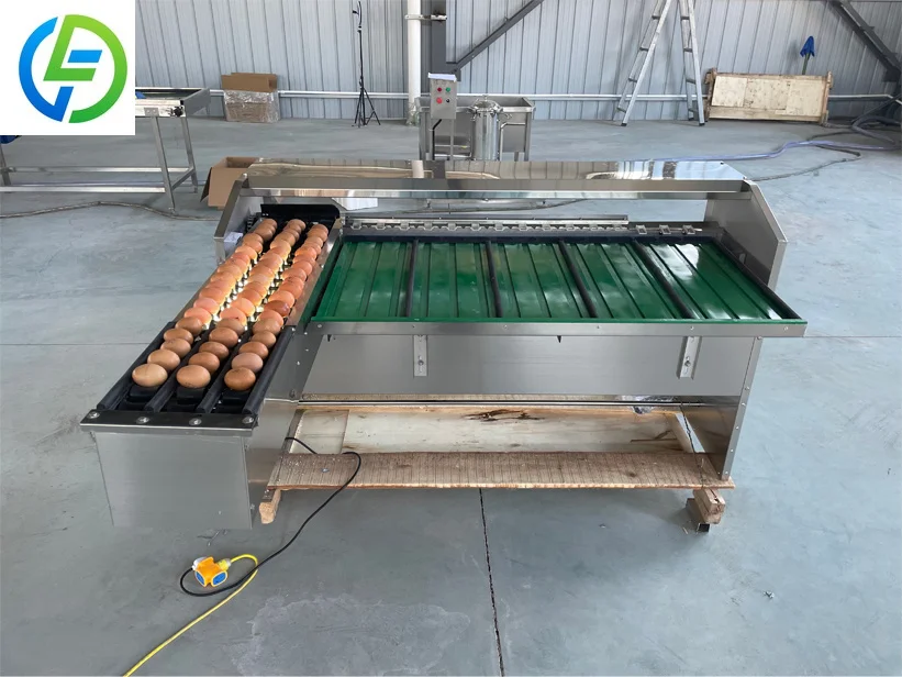 FOODLINE Industrial Egg Sorting Machine Multi‑grade Screening Device For Fresh Egg Packing Processing Line