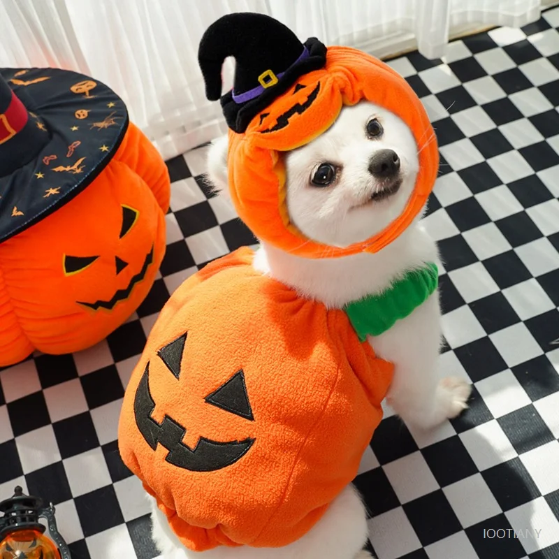 

Pet Halloween Pumpkin Cosplay Costume Dog Cat Funny Pumpkin Lantern Jacket Hat Cute Set Suitable For Carnival Party Cosplay Cost