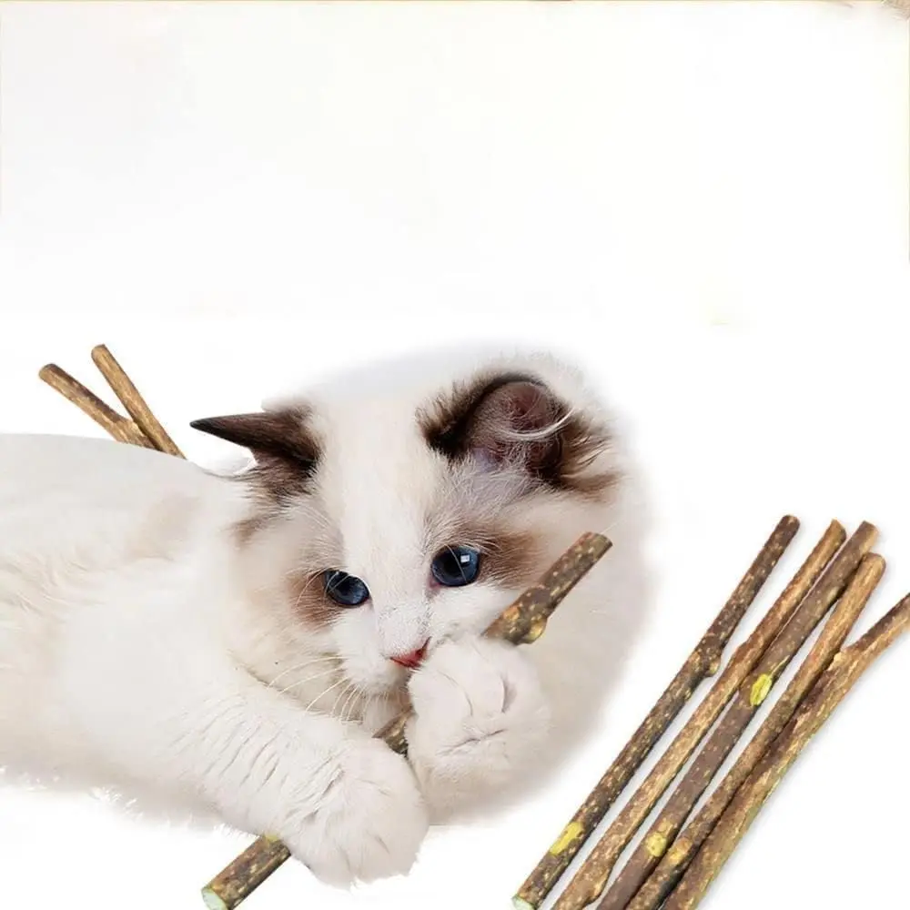 Zahnreinigungsstäbchen mit Silberwein für Katzen, Natürliches Katzenminze-Kauspielzeug, Sicheres, Ungiftiges Zahnreinigungsgeschenk für Katzenliebhaber