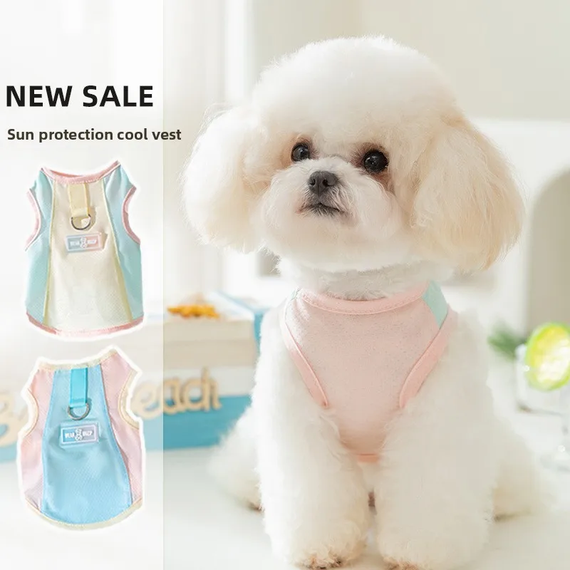 Suéter para cães de estimação, gato de pelúcia, outono e inverno, marca, cardigã de duas pernas, roupas de malha, pano para cães, produtos para animais de estimação, xiaoxiangfeng