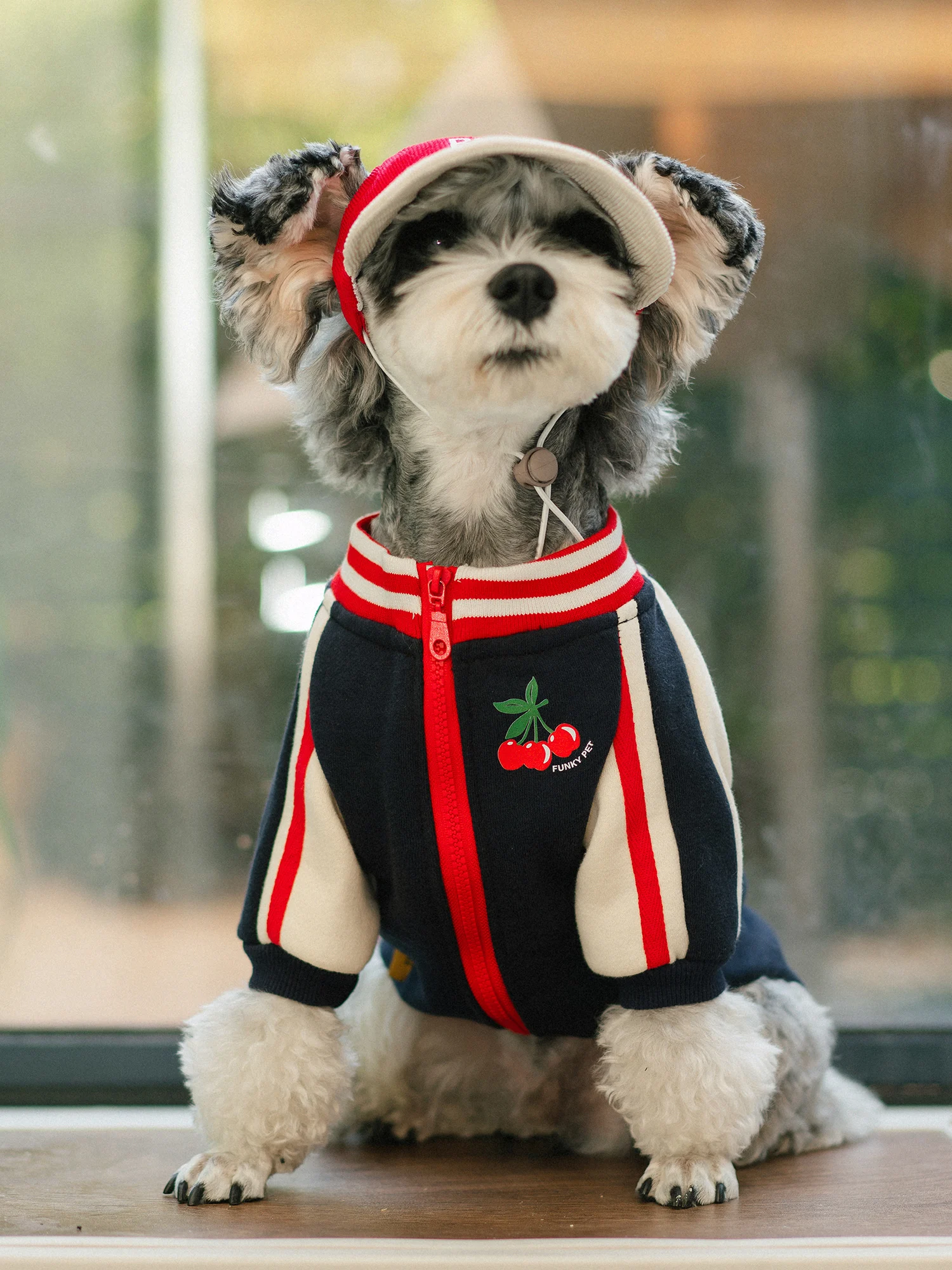 Dog Hoodie to Keep Your Fuzzy Friend Stylish and Cozy, Ideal for Small and Medium Breeds