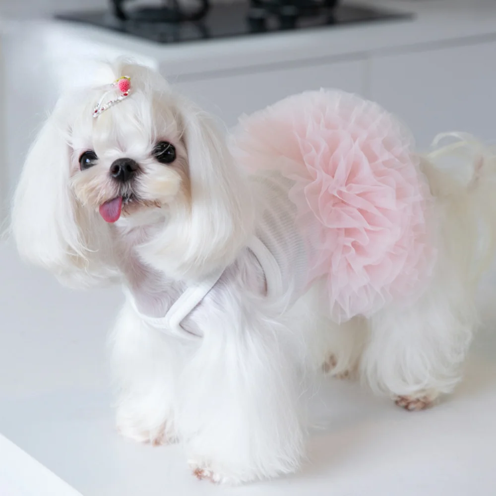 Pet Mesh Suspender Puffy Skirt Layer By Layer Tutu Skirt Pet Dog Teddy Skirt Pet Clothing Puppy Clothes Clothes for Small Dogs