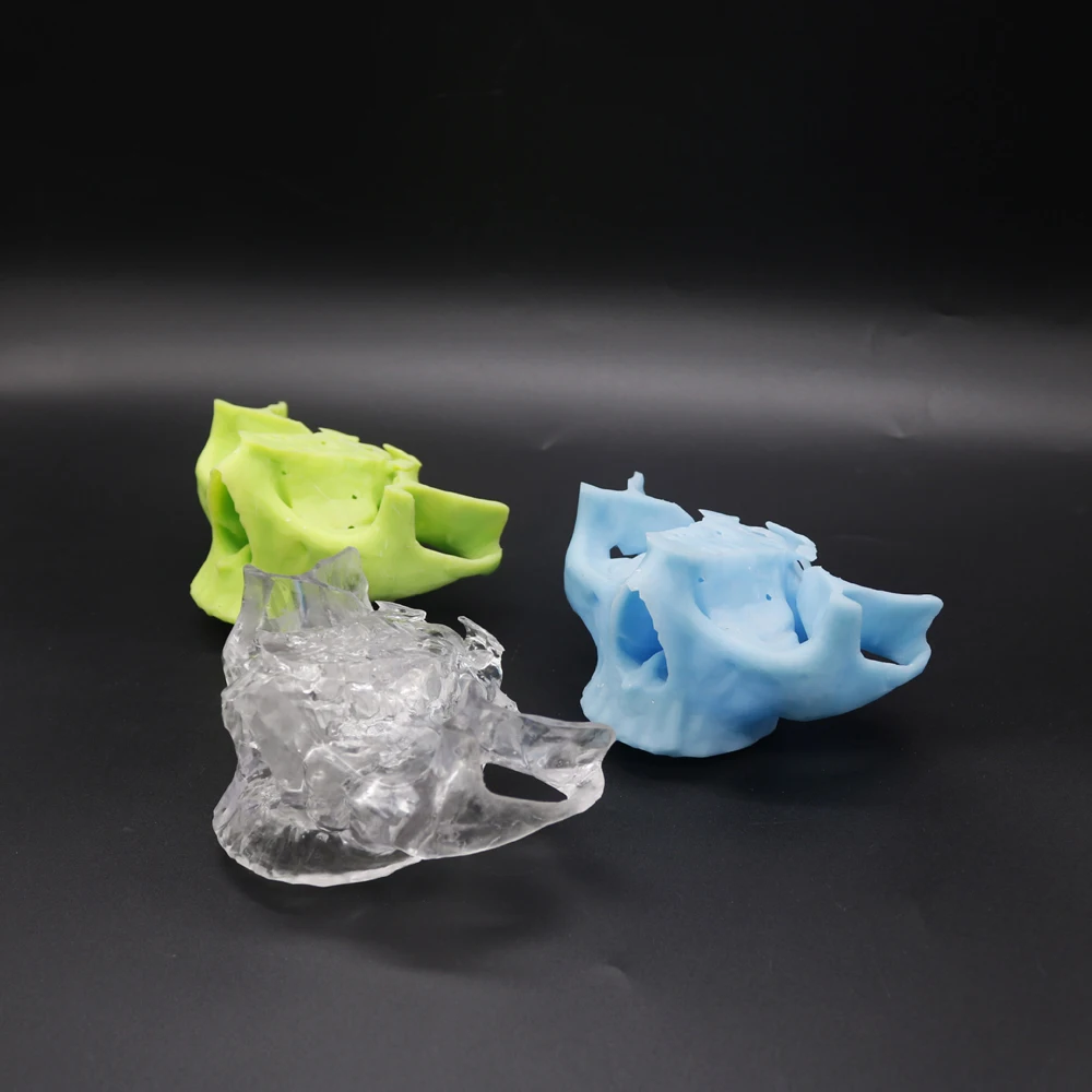 

1pc Dental 3D Printed Zygomatic and Pterygoid Implant Model For Dental Teaching Purposes Dental Supplies