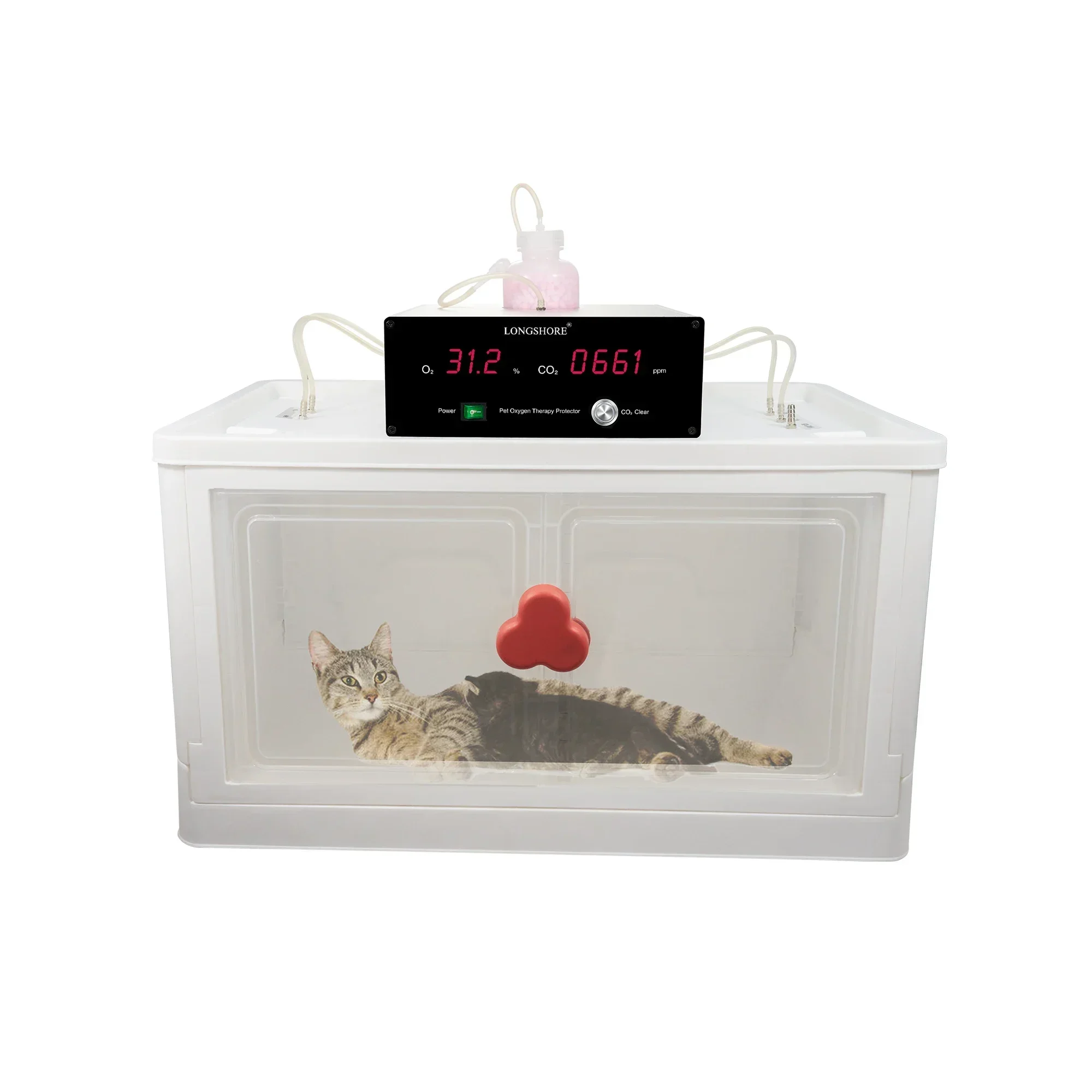 Pet Dog Cat Animal   Cage  therapy  Kitten Puppy  with Nebulization