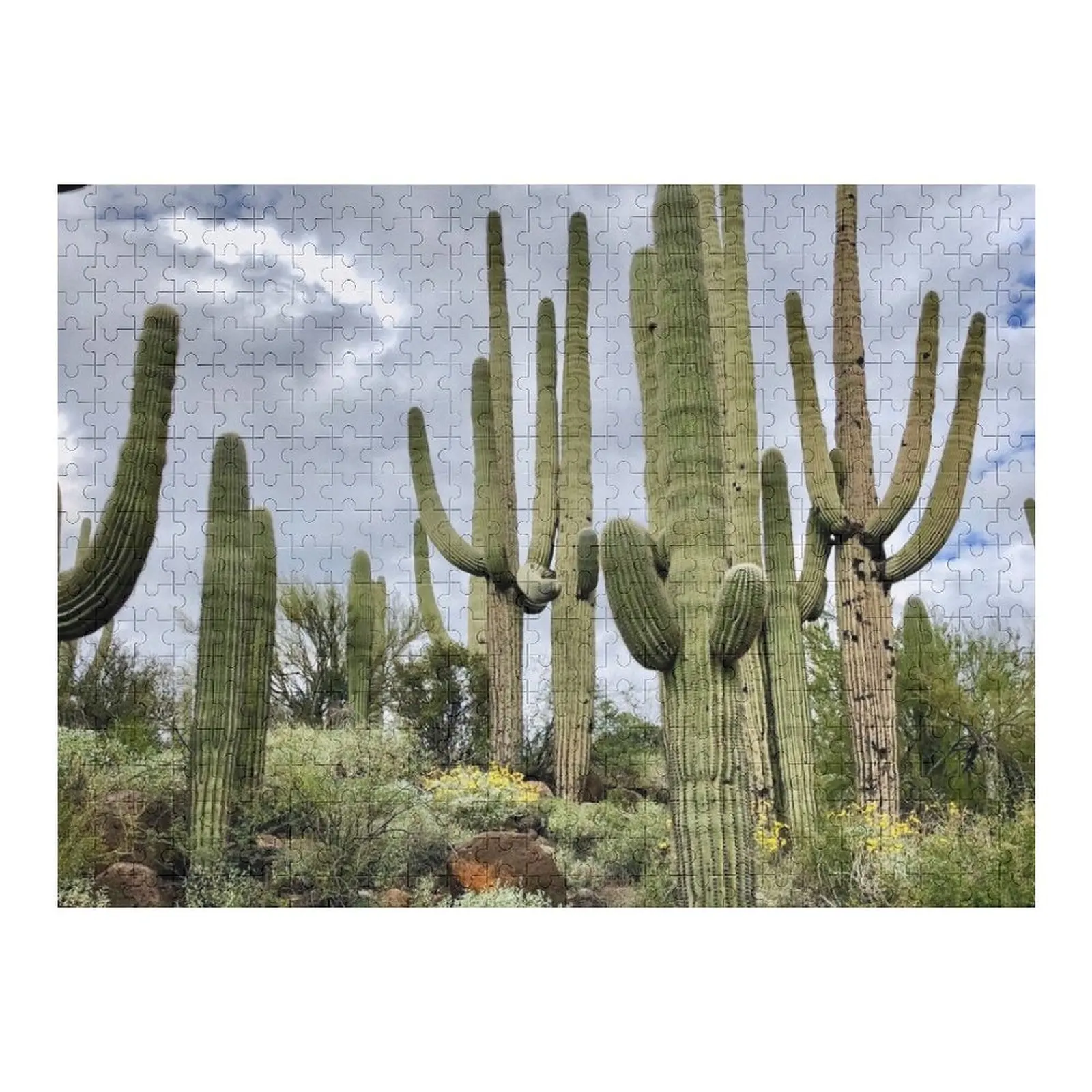 

Пазл Majestic Saguaro на заказ с персонализированной фотографией Пазл