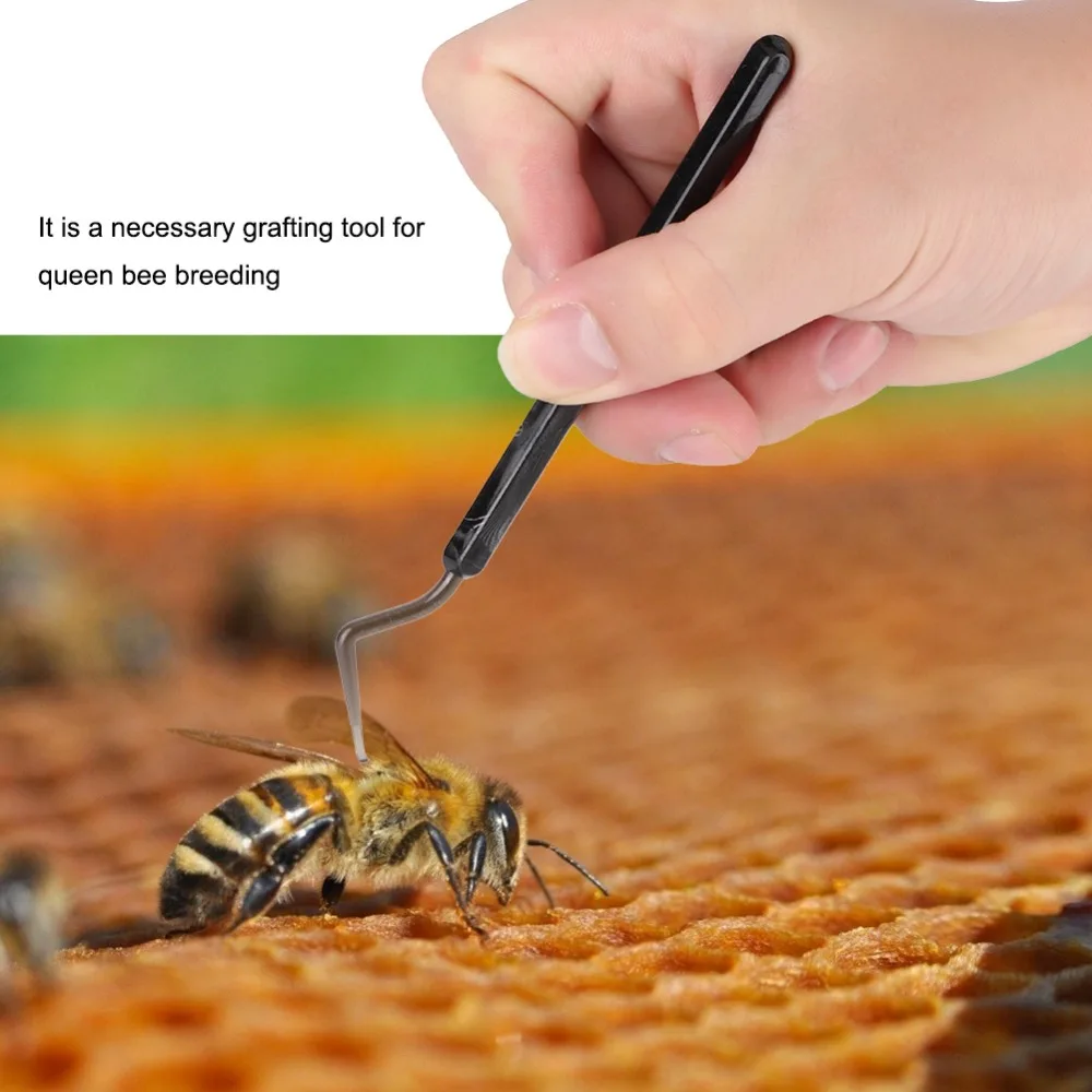 3 pcs Plastic Beekeeping Grafting Tool Non-Slip Grip Black Beekeeping Shift Pin Precise Transfer Exquisite Workmanship