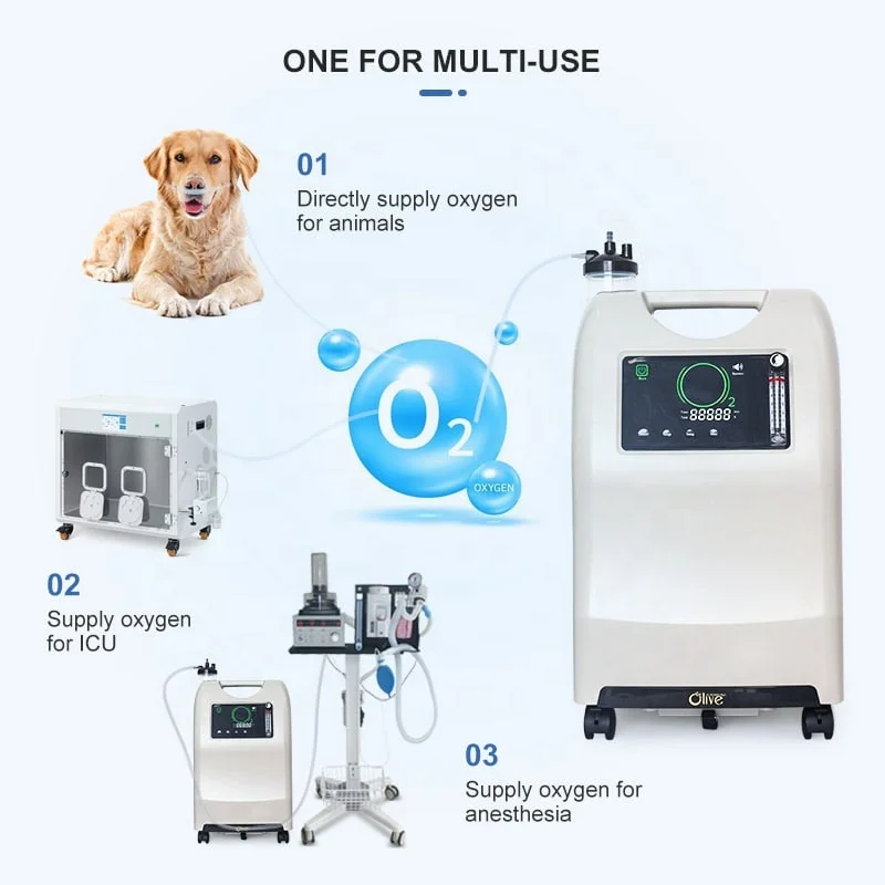 ICU and Pet Cages Use Medical Oxygen-concentrator 5l 10l Concentrador De Oxigeno Vet Oxygen Concentrator for Anesthesia Machine