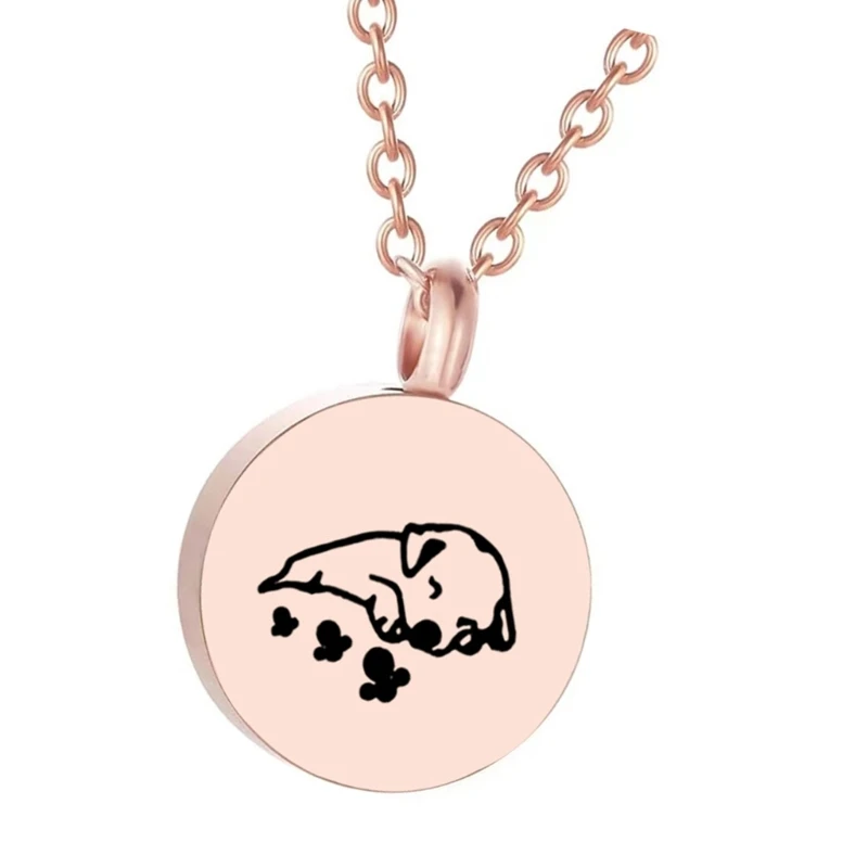Collana con urna per animali domestici per cremazione delle ceneri, collana con bracciale, collo, gioielli, forniture
