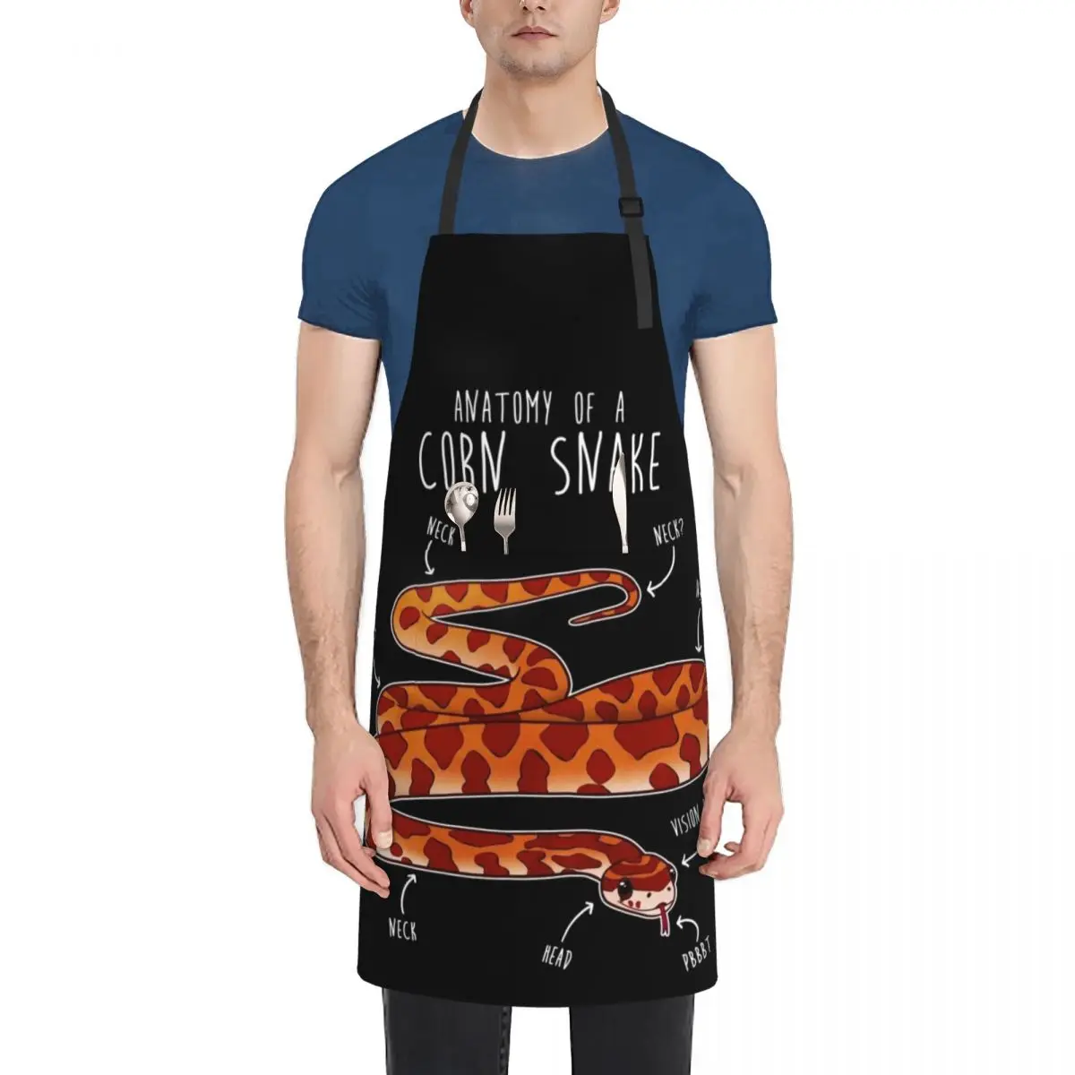 

Anatomy of a Corn Snake Apron Kitchen Man Kitchen Apras Man For Kitchen New year's Apron