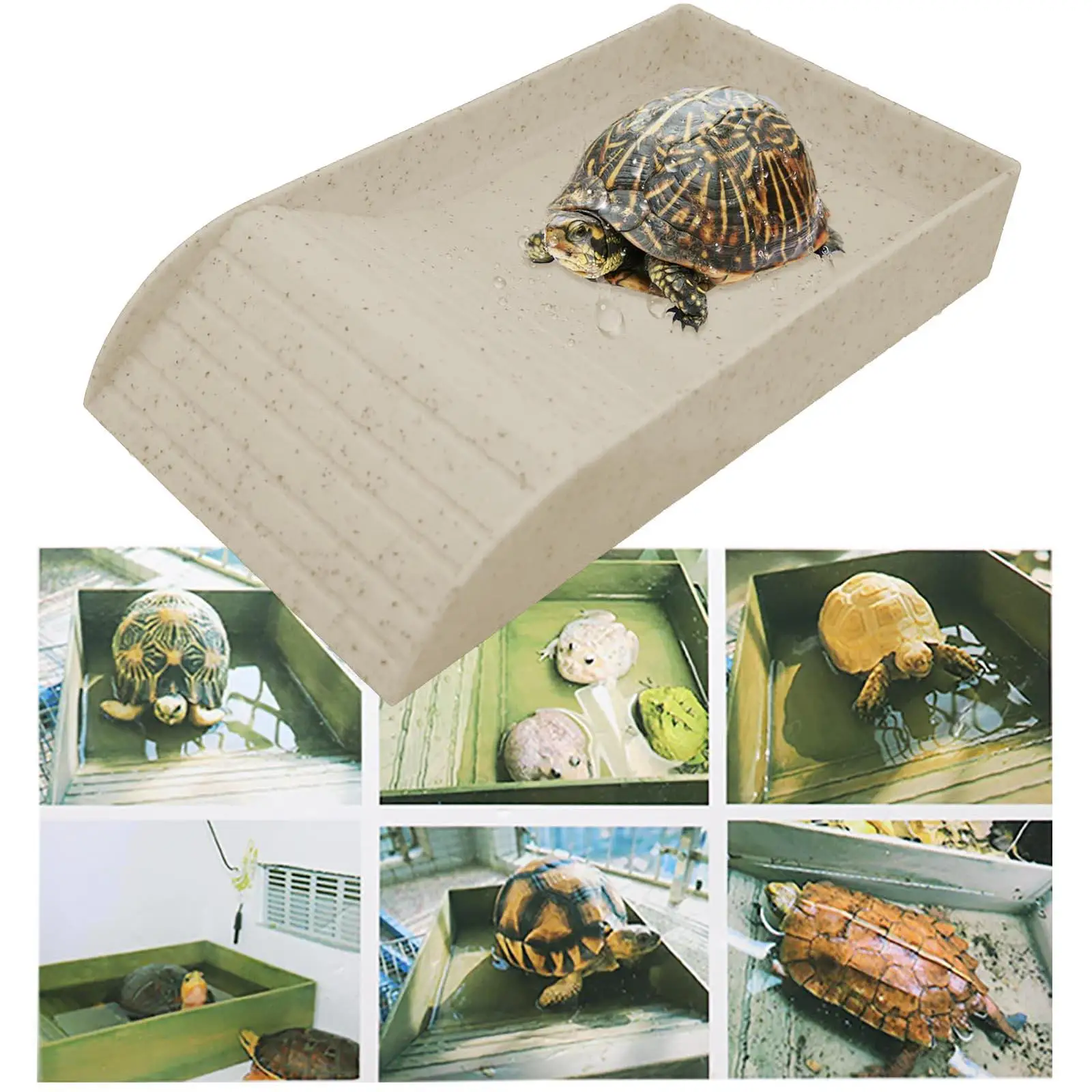 Terrarium Bowl Feeding Plate with Slope Tortoise Water Dish Reptile Bathing Pool for Tortoise Bearded Dragon Snake Hamster