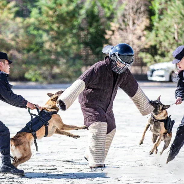 保護のための全身犬トレーニング服、工場用品