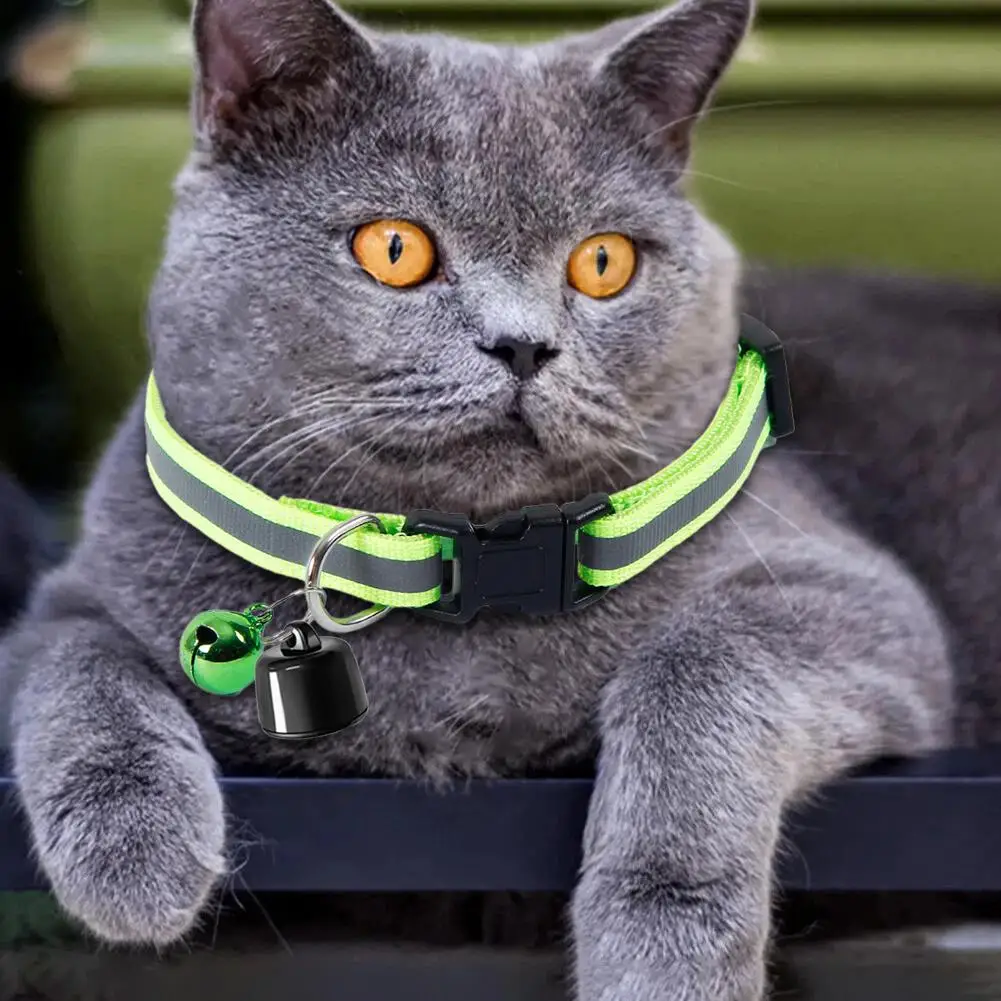 Light Pet Global Lo…