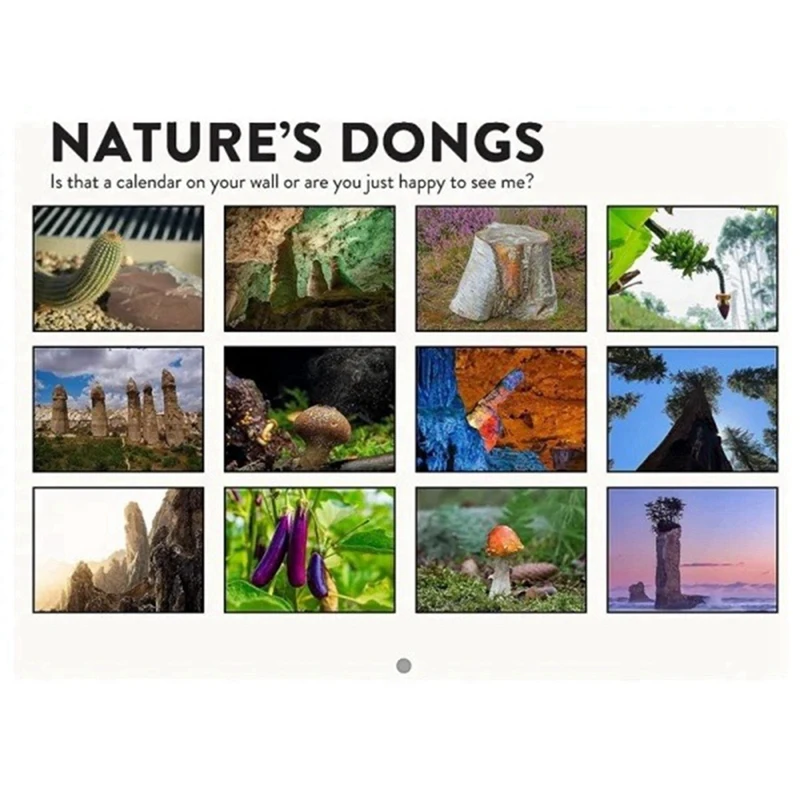 Natureza Calendário engraçado para adultos, Natureza Dongs Calendar, 2024