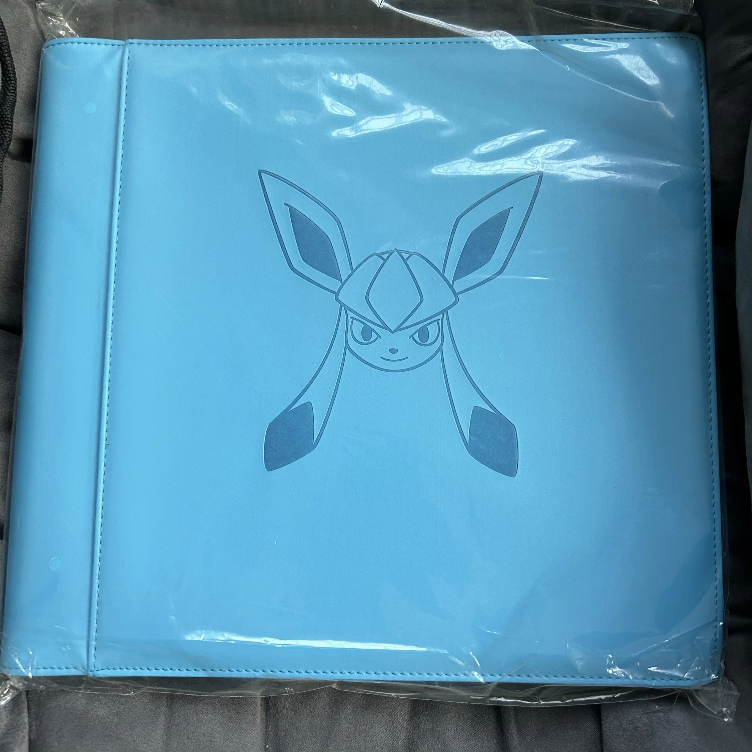 Op voorraad PTCG PokéMon Chinese Game Card Ibrahimovic Geavanceerde Eeveelution Protection Register Card Boek Collectie Geschenken - afbeelding 1