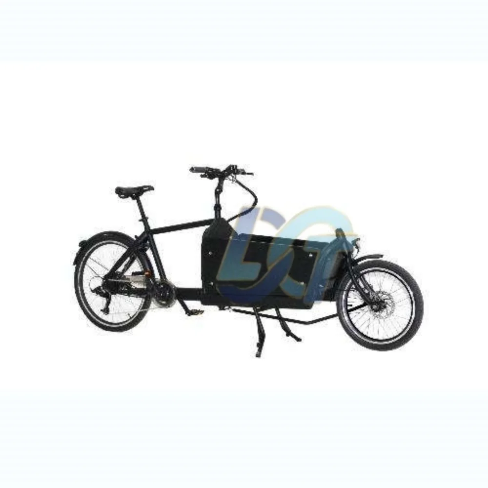 Three-Wheel Electric Cargo Bike Open Body 250W 36V Long John Model with 100-200kg Payload Capacity