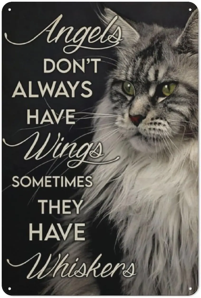 Rustic Metal Tin Sign Maine Coon Cat Angles Don't Always Have Wings Sometimes They Have Whiskers Metal Plaque Poster Home W sign