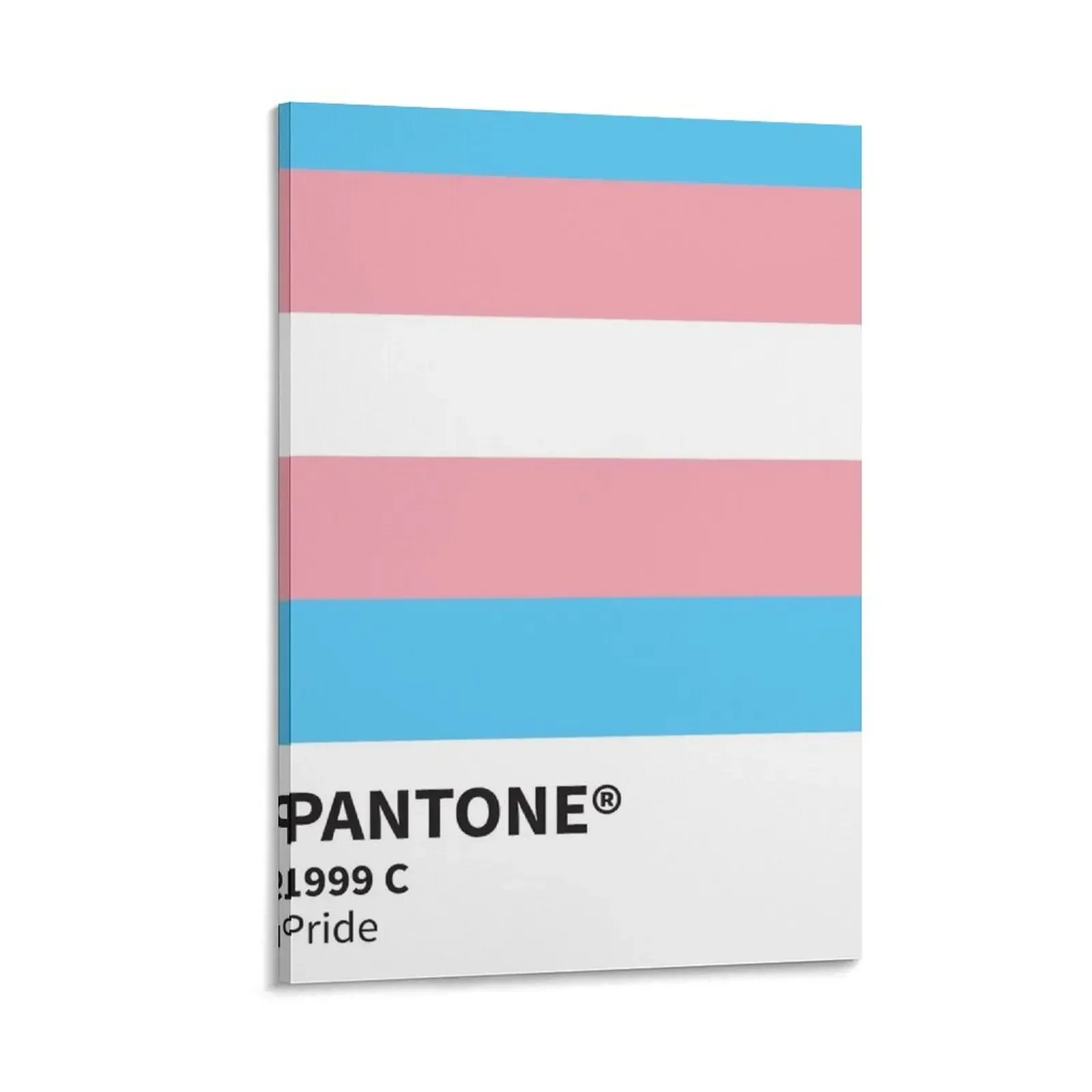 

pantone trans pride Canvas Painting art fashion wall paintings wall art japanese room decor