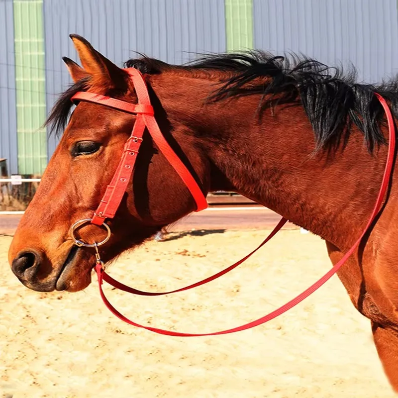

Комплект: поводок-ремень для конной упряжи, защита от перегрызания и седло — универсальное и удобное решение
