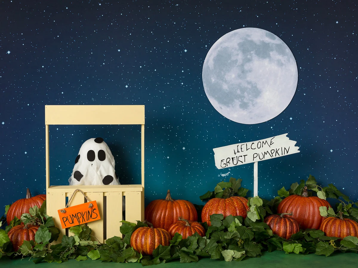 

Johnson Stand Full Moon Pumpkin Star backdrops High quality computer print halloween Photography Studio Backgrounds