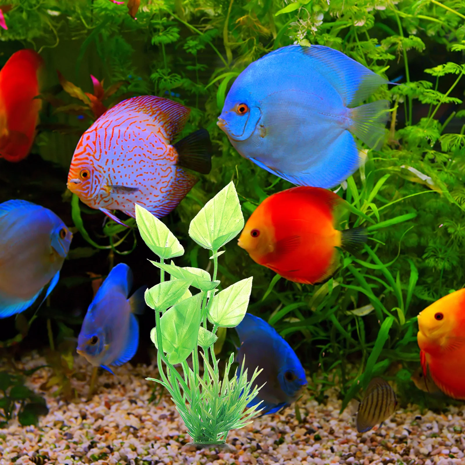 

10 Pcs Plant Aquatic Decoration Fish Tank Plastic Aquarium Decorative Fake Plants