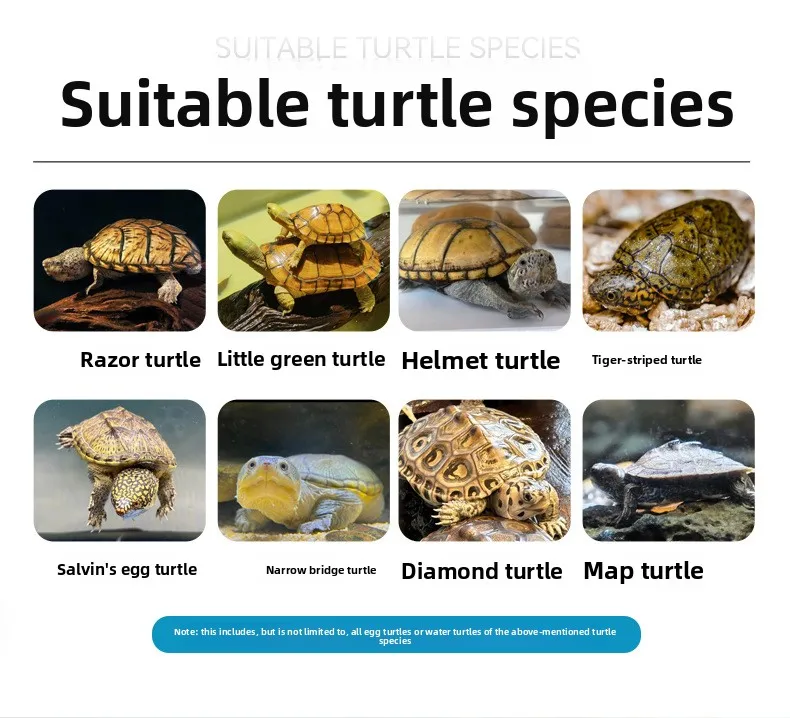 طعام السلحفاة Probiotic مع كالسيوم عالي للسلحفاة الطينية، منزلق ذو أذن حمراء، صندوق صيني سلحفاة وأنواع شبه مائية #5