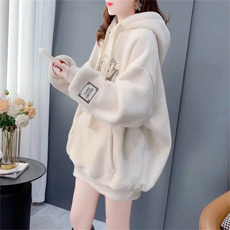 Autumn Winter Fleece Sweatshirt Women Hoodie Warm Long Sleeve Pullover Loose Streetwear Embroidery Korean Fashion New