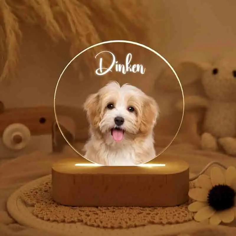 Dropship CUSTOM 3D Pet Photo Lamp DIY Customized Pet Portrait Night Light Personalized Dog Lamp Cat Photo Light Memorial Gift