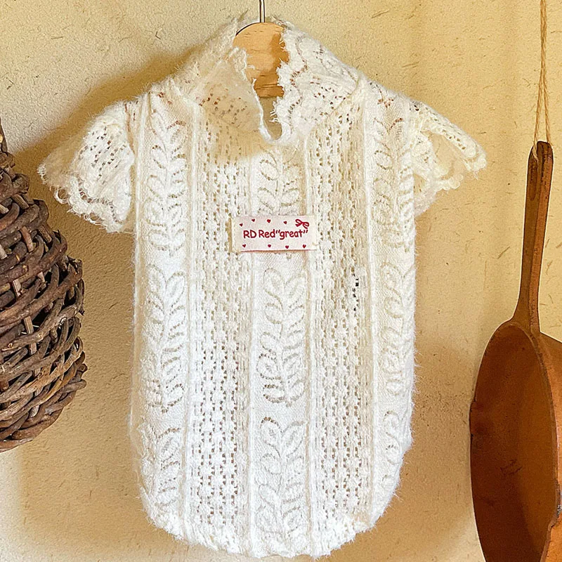 Sudadera malla capucha encaje blanco perros Chihuahua primavera verano