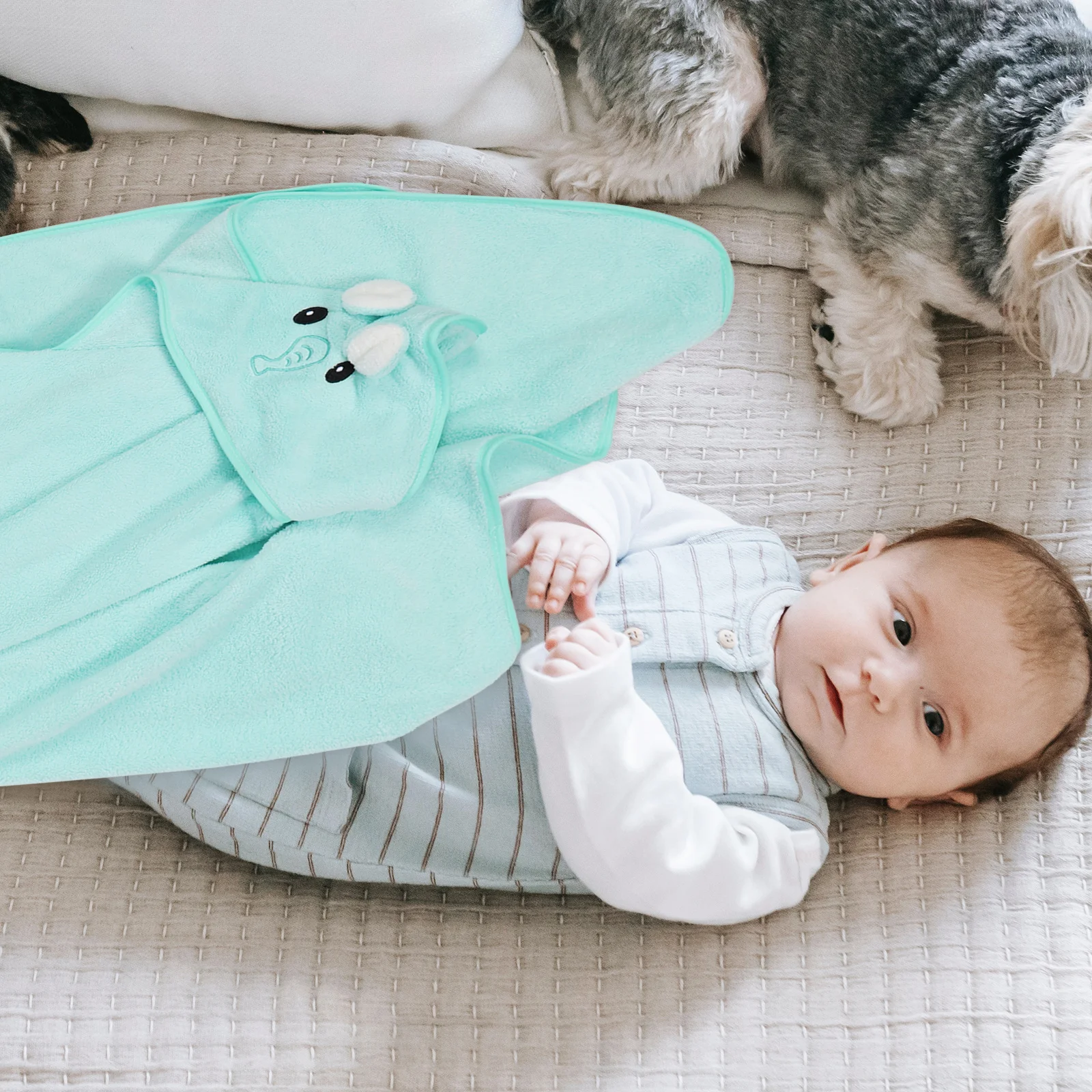 Accappatoio per bambini Asciugamano da bagno in pile di corallo animale cartone animato per bambini Avvolgente da nuoto morbido e assorbente ad asciugatura rapida per 3-12 anni