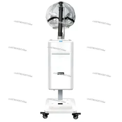 Professional hair care SPA care Micromist steam engine soft cap ion mist steam engine