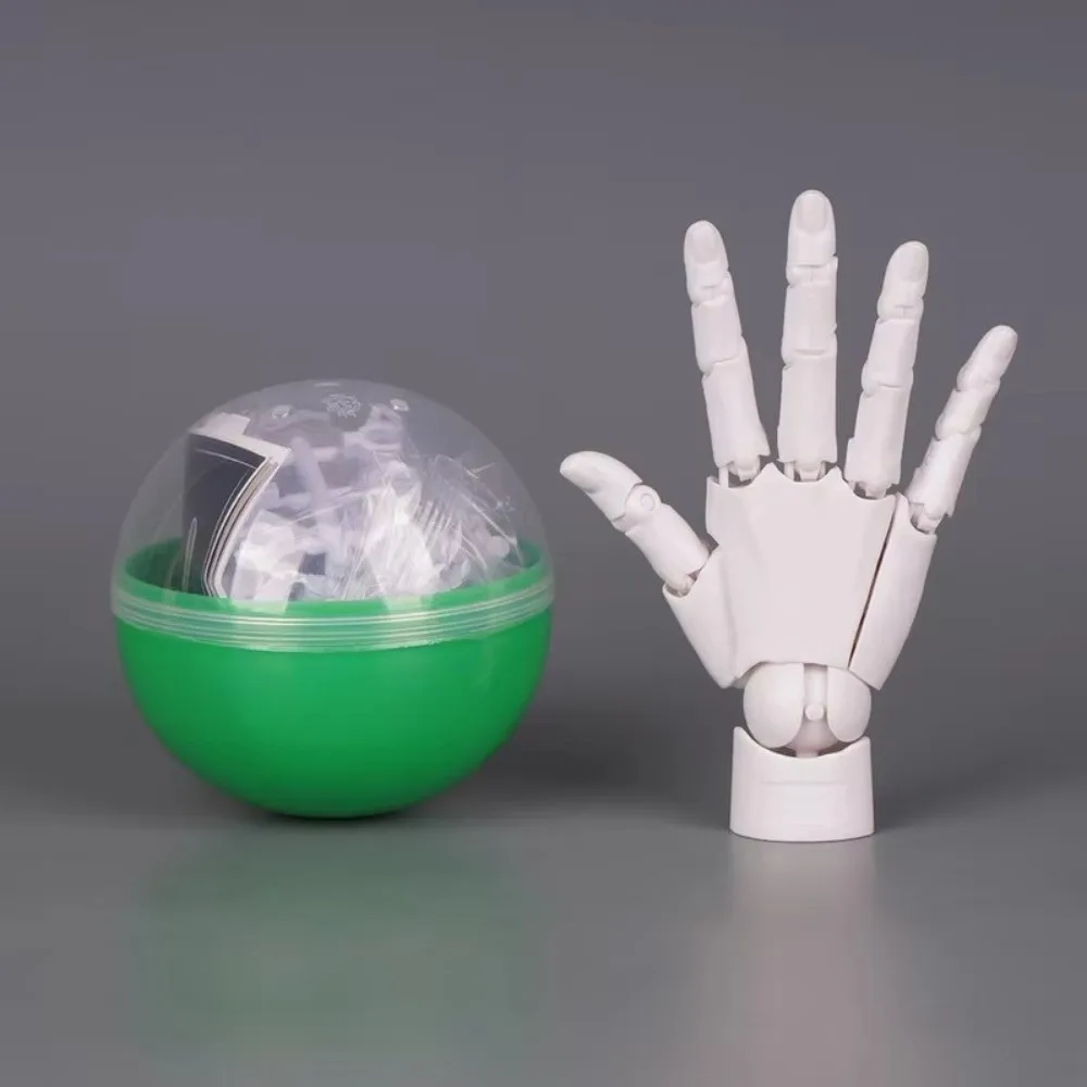 1:2 Scale Human Hand Model Movable Joints Mini Size Articulated Action Figure With Posable Fingers Twisted Egg Design