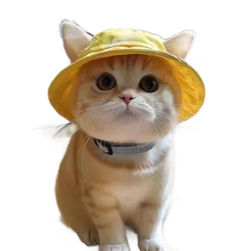 Sommerlicher Katzen-Sonnenhut mit Ohrlöchern, atmungsaktiv, UV-Schutz, Outdoor-Fischerhut für Katzen, Kätzchen, niedliches Haustierzubehör,