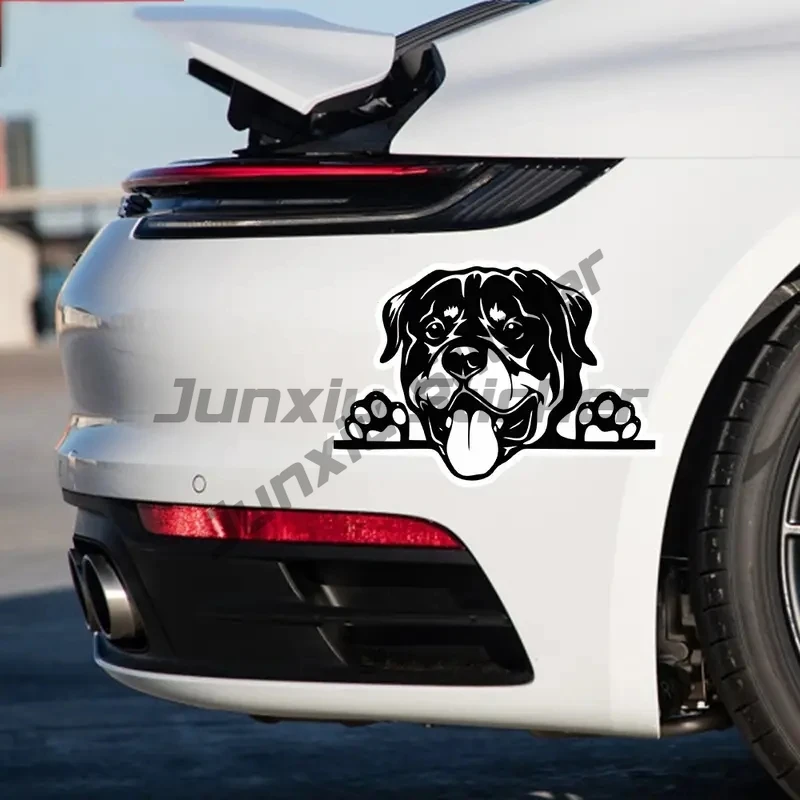 Peeping Rottweiler Creative Vinyl Waterproof Sticker Decal for Car, Laptop, Wall Window, Bumper Sticker