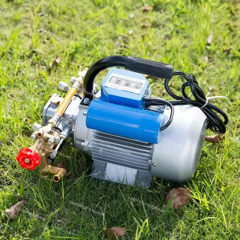

Electric Garden Sprayer Plunger Pump High Pressure Machine for Household Small Farm Fruit Tree Pesticide Application