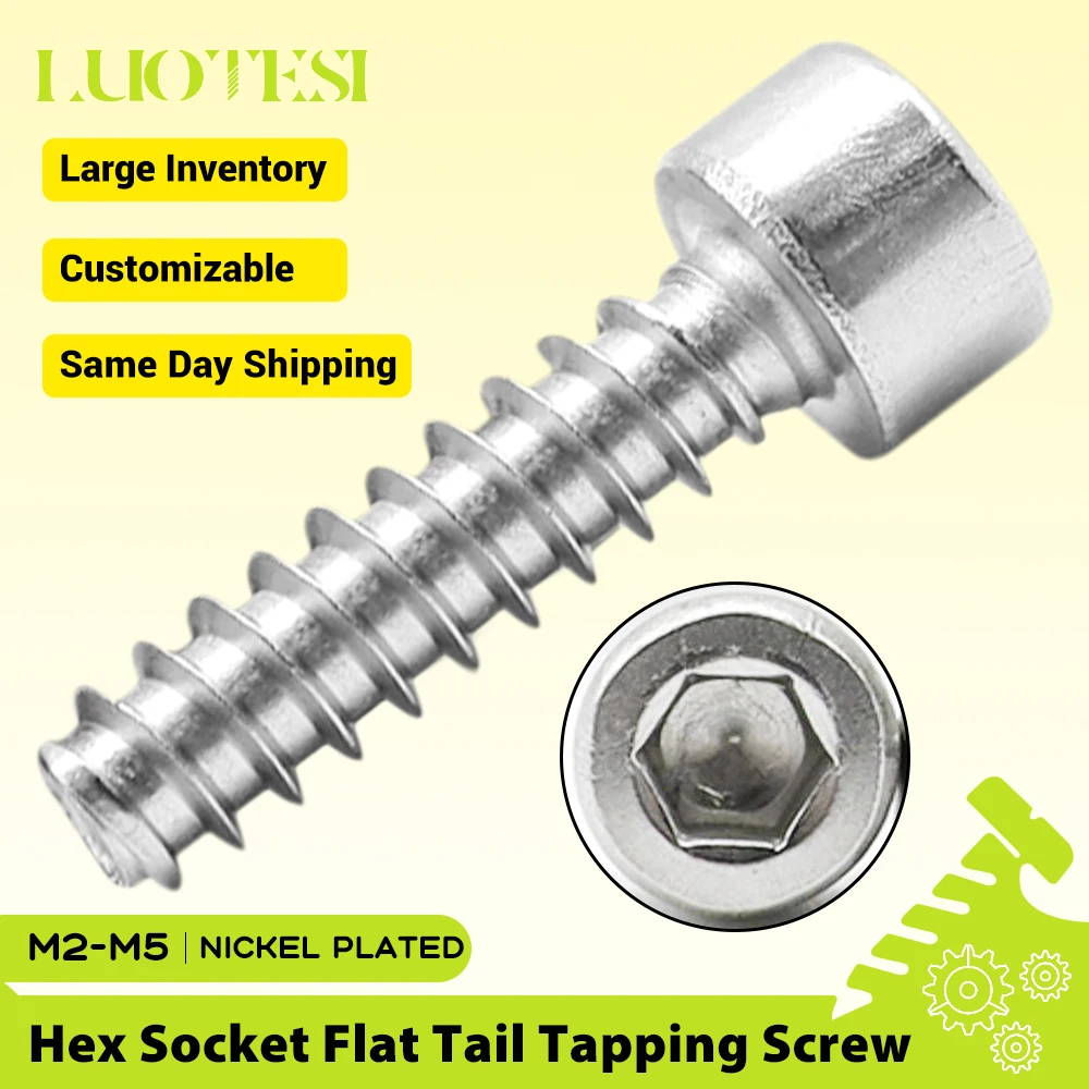 Allen Socket Head Cap Flat Tail Tapping Screw Bolts Nickle Plated M2 M2.5 M2.6 M3 M4 Hex Hexagon Head Tapping Screw for Plastics