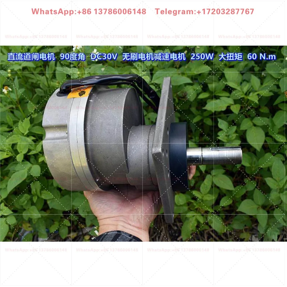 DC barrier 90 degree angle, brushless geared motor 250W high power 60.N.m (a complete set)