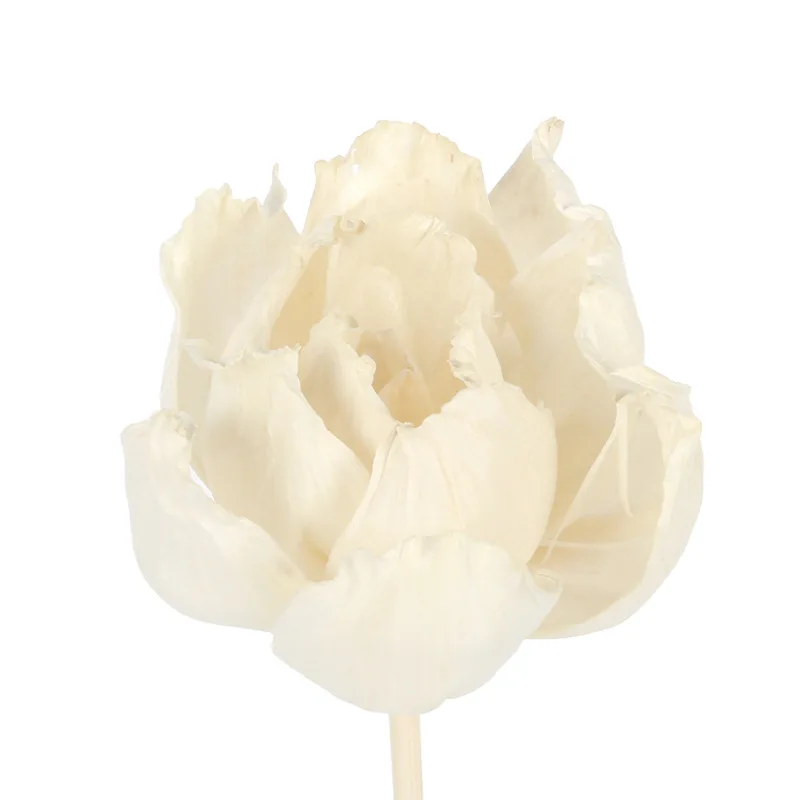 10PCS DIY Home Decor Plant Dried Flower for Essential Oil Volatilization,Aromatherapy Accessories Sola Flower for Reed Diffuser