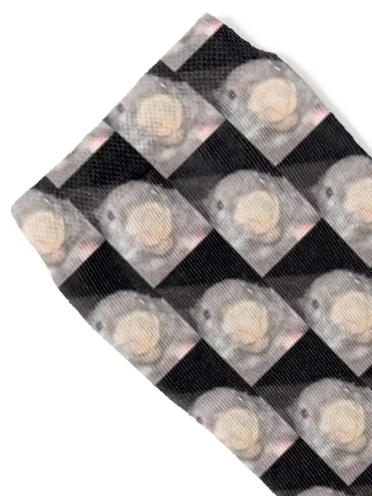 Bober kurwa - سمور بولندي، Bober، Bóbr، Beaver، Boberek Socks المشي لمسافات طويلة أفكار هدايا عيد الحب لطيف كرة القدم السيدات الجوارب الرجال #2