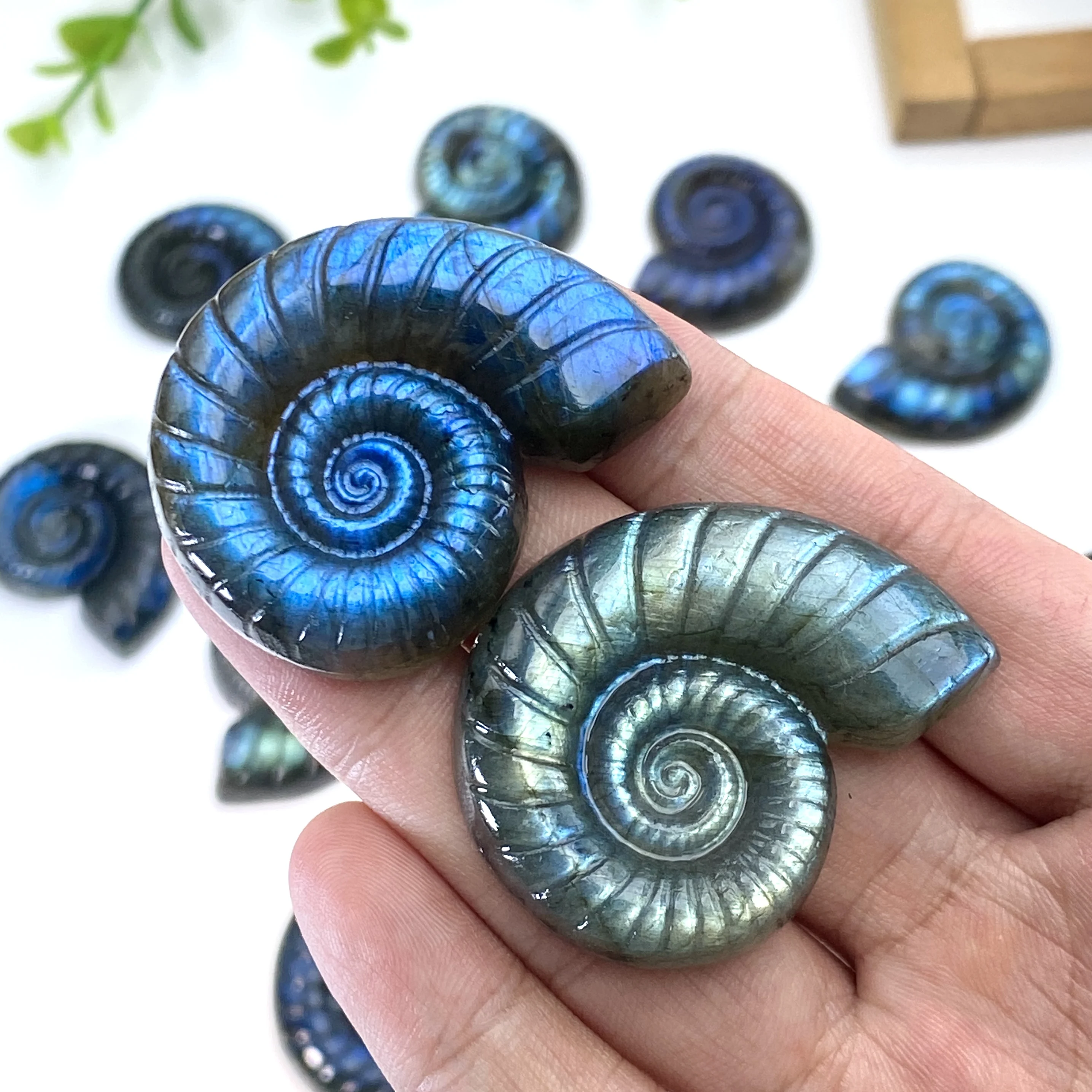 1 قطعة اللابرادوريت الطبيعي الأمونيت نحت رائع سر تحويل مبهرج الريكي كريستال التأمل أحجار استشفاء ديكور المنزل #1