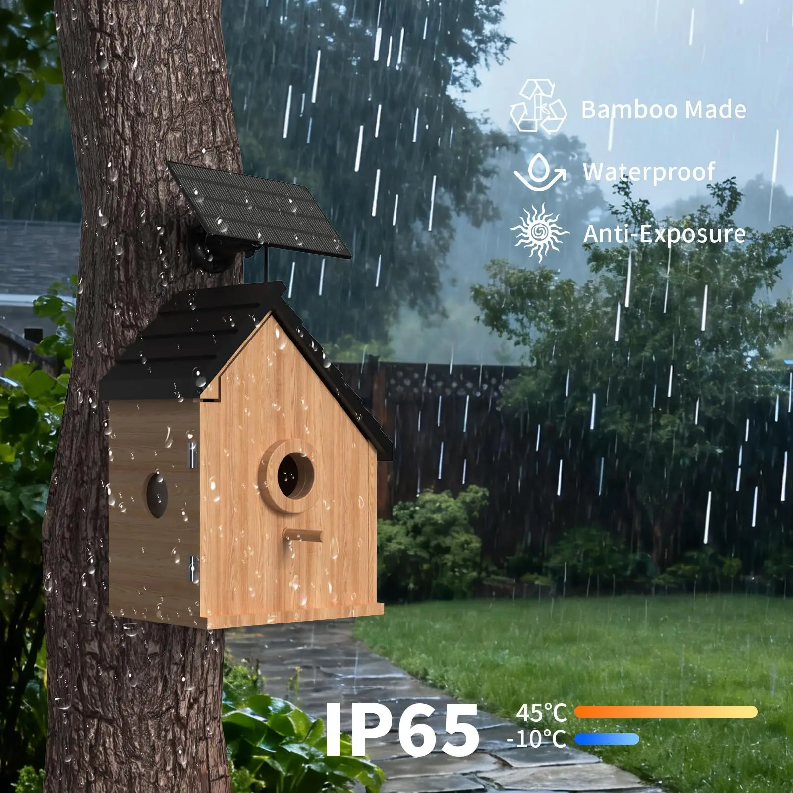 Waterproof Visible Bird Hatch 5 million Pixel Solar Monitoring Bamboo and Wood Bird Nest